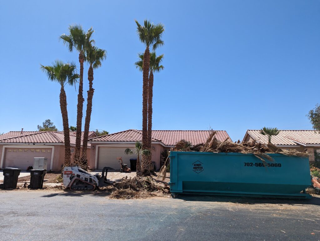 Cleaned-up palm trees after tree trimming services in Las Vegas, NV, showcasing the final result.