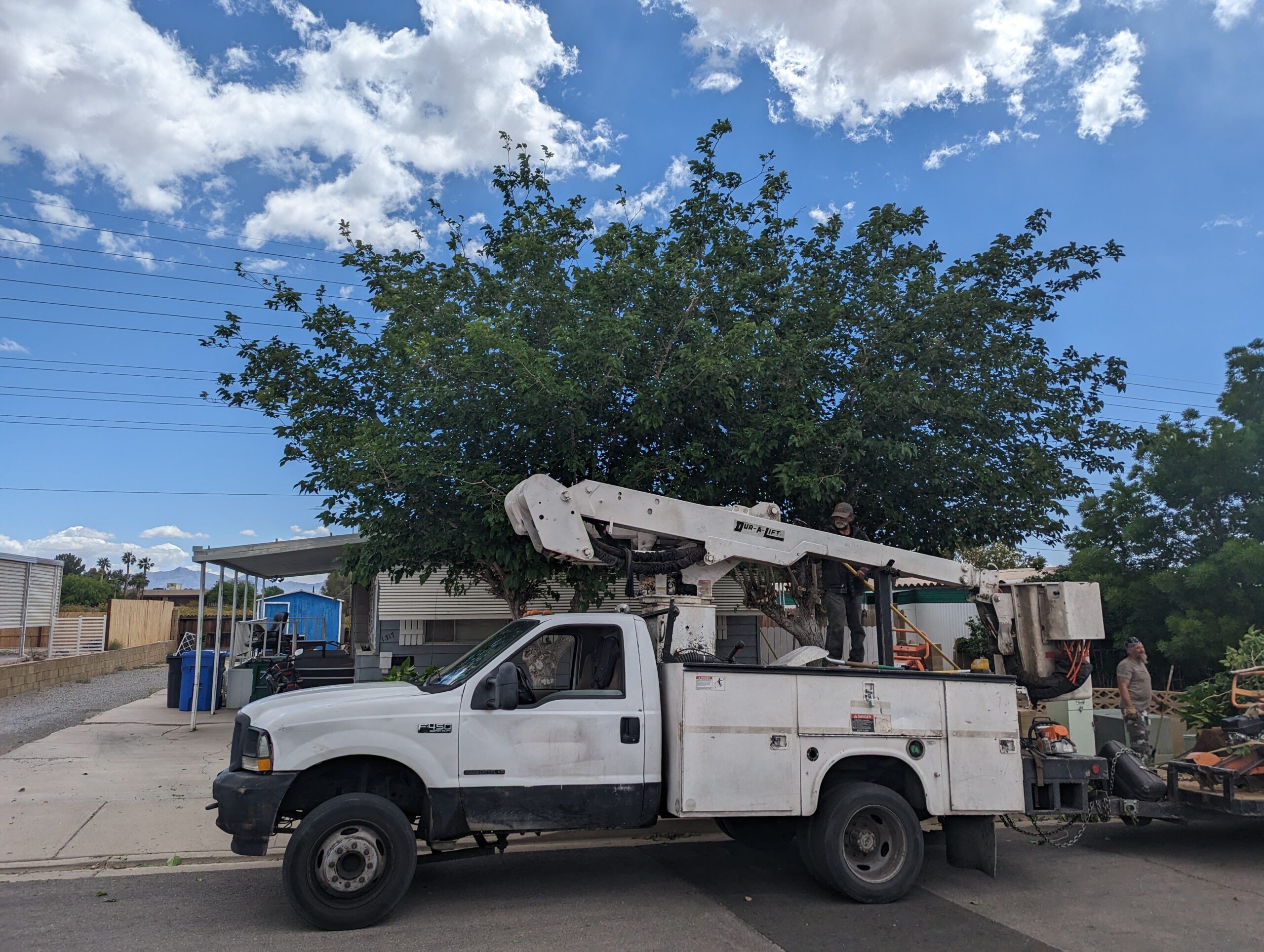 Tree removal equipment and debris cleanup in The Lakes, Las Vegas, NV