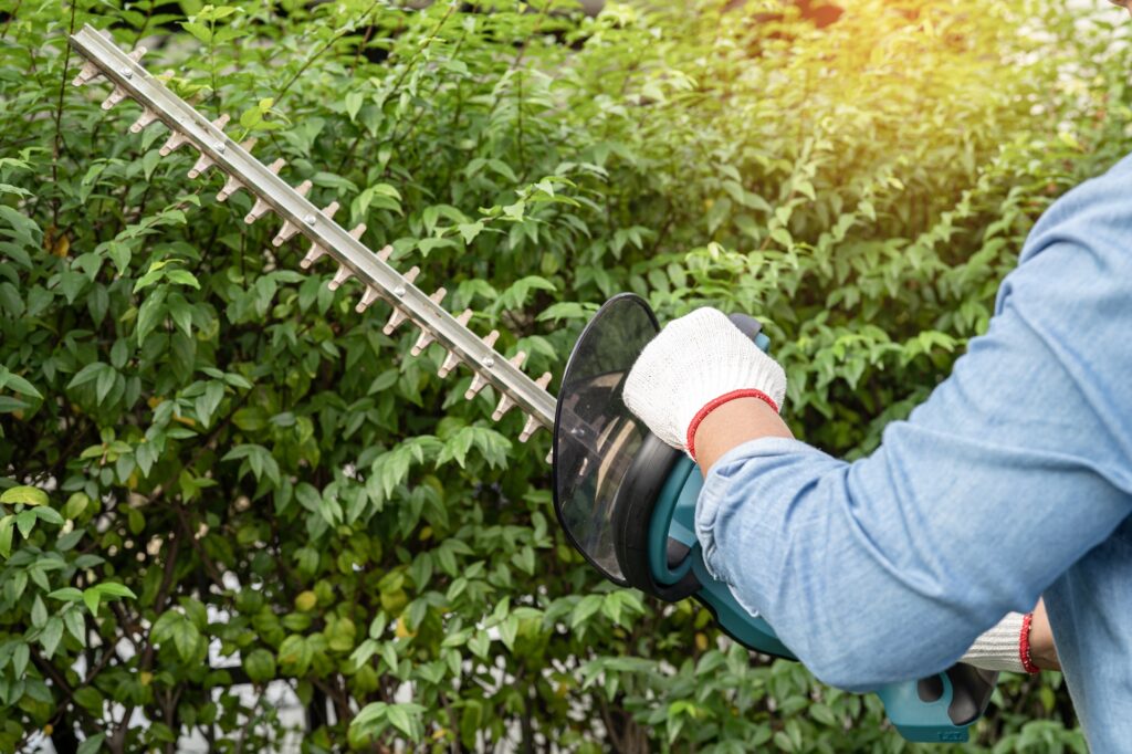 A person using a power tool to trim a hedge, representing tree services in Las Vegas by Troy’s Tree Service. Tree Services in Las Vegas, NV.