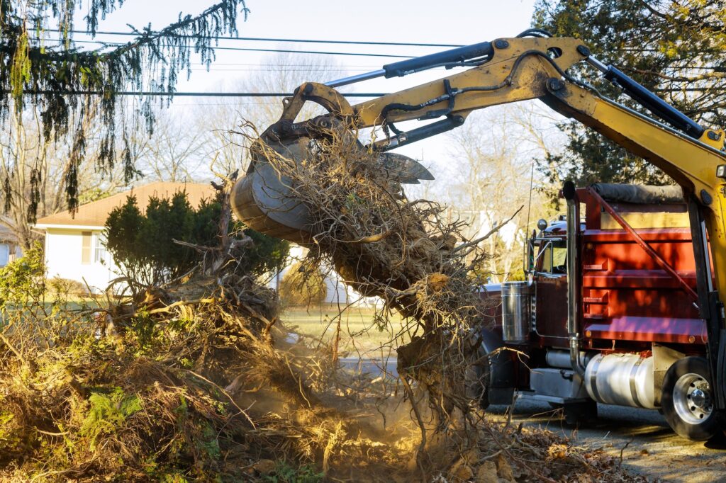 An excavator loading tree branches and debris into a dump truck, highlighting tree services in Las Vegas by Troy’s Tree Service. tree removal.