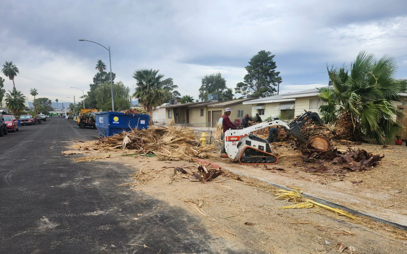 Professional tree removal and debris cleanup in The Lakes, Las Vegas, NV