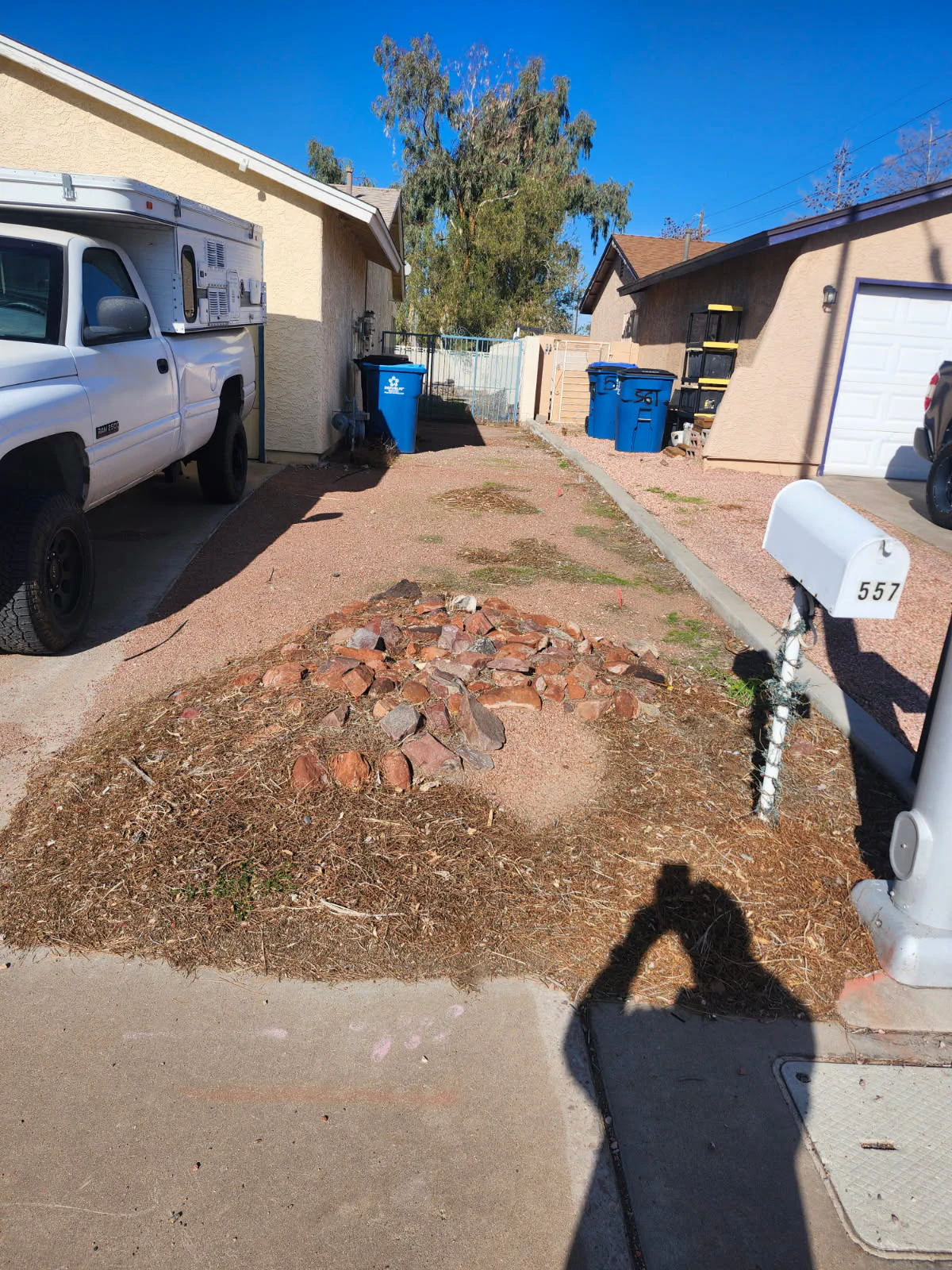 Stump grinding after tree removal in Centennial Hills, Las Vegas, NV